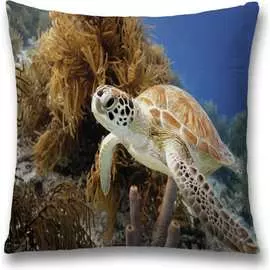 Декоративная наволочка JOYARTY sl_35232