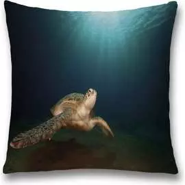 Декоративная наволочка JOYARTY sl_35221