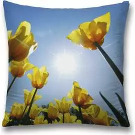 Декоративная наволочка JOYARTY sl_34765