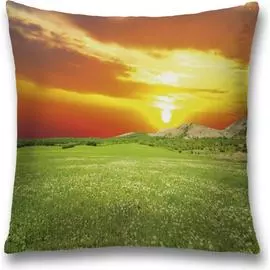 Декоративная наволочка JOYARTY sl_32670