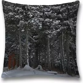 Декоративная наволочка JOYARTY sl_35212