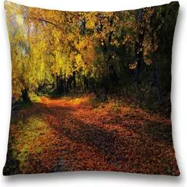 Декоративная наволочка JOYARTY