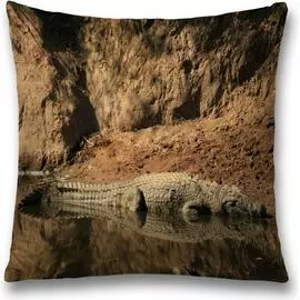 Декоративная наволочка JOYARTY sl_21726