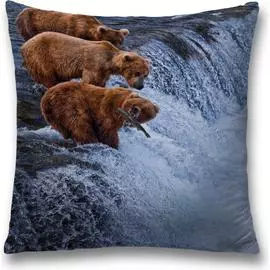 Декоративная наволочка JOYARTY sl_21729