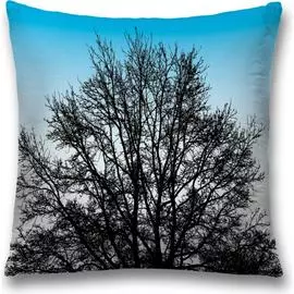 Декоративная наволочка JOYARTY