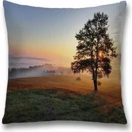 Декоративная наволочка JOYARTY sl_32342