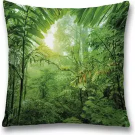 Декоративная наволочка JOYARTY sl_32464