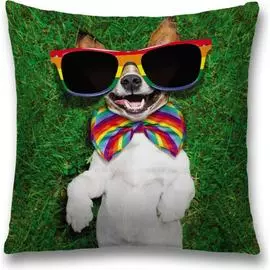 Декоративная наволочка JOYARTY