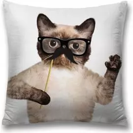 Декоративная наволочка JOYARTY