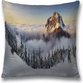 Декоративная наволочка JOYARTY sl_60522