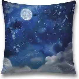 Декоративная наволочка JOYARTY sl_32215