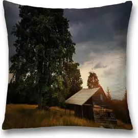 Декоративная наволочка JOYARTY