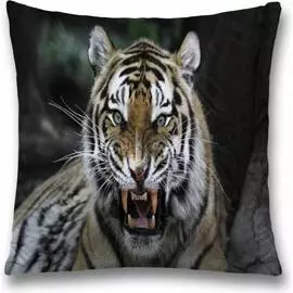 Декоративная наволочка JOYARTY sl_32077