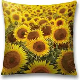 Декоративная наволочка JOYARTY sl_105983