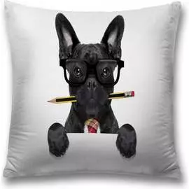 Декоративная наволочка JOYARTY sl_60793