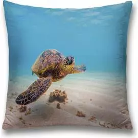 Декоративная наволочка JOYARTY sl_35246