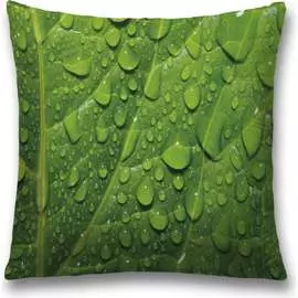 Декоративная наволочка JOYARTY sl_32284