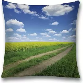 Декоративная наволочка JOYARTY