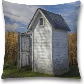 Декоративная наволочка JOYARTY