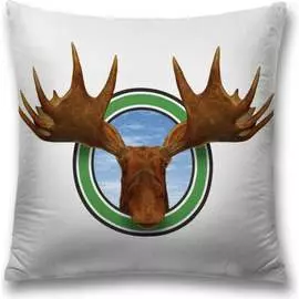 Декоративная наволочка JOYARTY sl_22296