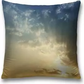 Декоративная наволочка JOYARTY sl_34755