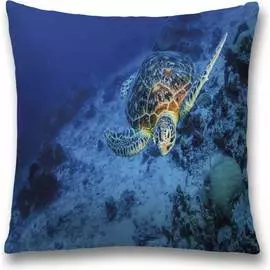 Декоративная наволочка JOYARTY sl_35236