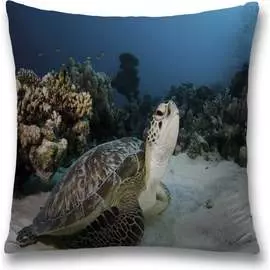 Декоративная наволочка JOYARTY sl_35223