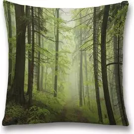 Декоративная наволочка JOYARTY sl_32963