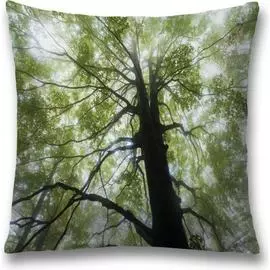 Декоративная наволочка JOYARTY sl_32314