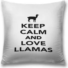 Декоративная наволочка JOYARTY