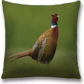 Декоративная наволочка JOYARTY sl_32468