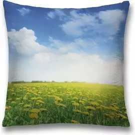 Декоративная наволочка JOYARTY sl_34763