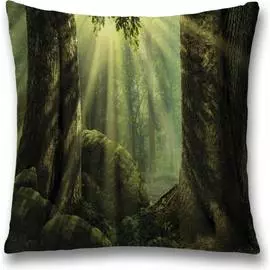 Декоративная наволочка JOYARTY