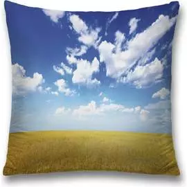 Декоративная наволочка JOYARTY