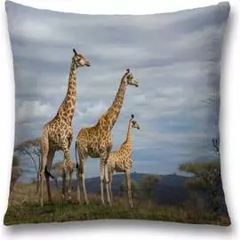 Декоративная наволочка JOYARTY sl_21749