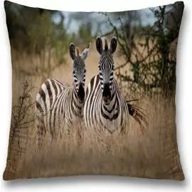 Декоративная наволочка JOYARTY sl_21742