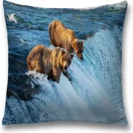 Декоративная наволочка JOYARTY sl_21740