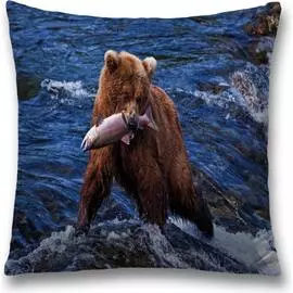 Декоративная наволочка JOYARTY sl_21744