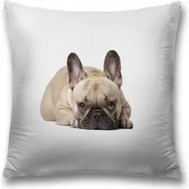 Декоративная наволочка JOYARTY sl_60795