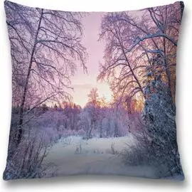 Декоративная наволочка JOYARTY sl_29106