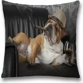 Декоративная наволочка JOYARTY