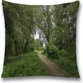 Декоративная наволочка JOYARTY sl_32377