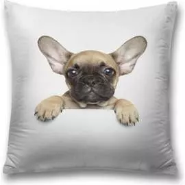 Декоративная наволочка JOYARTY sl_60796