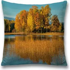 Декоративная наволочка JOYARTY