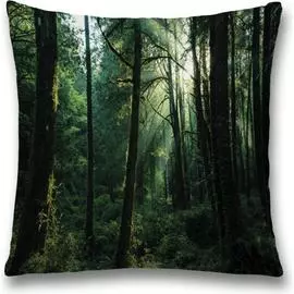 Декоративная наволочка JOYARTY sl_32353