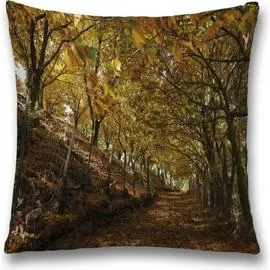 Декоративная наволочка JOYARTY sl_32379