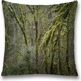 Декоративная наволочка JOYARTY