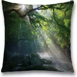 Декоративная наволочка JOYARTY sl_16282