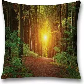 Декоративная наволочка JOYARTY sl_19657