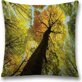 Декоративная наволочка JOYARTY sl_19642